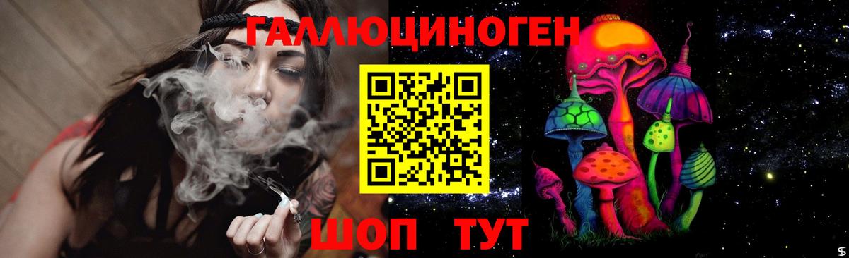 Галлюциногенные грибы GOLDEN TEACHER  Вход с VPN  Малгобек 